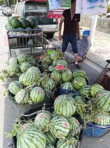 天水吃瓜事件视频最新,一场网络狂欢背后的真相与反思