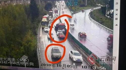 吃瓜群众交警衣服,揭秘交警日常