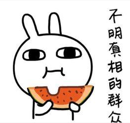 带你吃瓜搞笑拍照,捕捉瞬间欢乐拍照瞬间