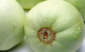 吃瓜容易尿,揭秘吃瓜与尿生成之间的奇妙关系