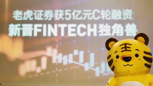 全国吃瓜最强战队,揭秘瓜界风云录