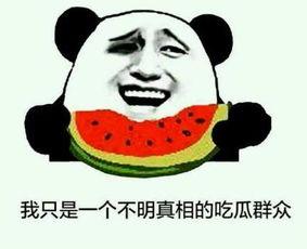 吃瓜打架折返,一场意外的折返之旅