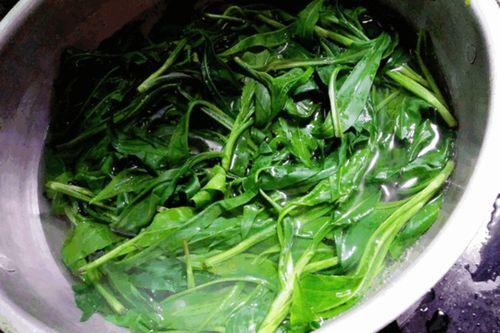 佛手瓜怎么摘可以吃瓜尖,轻松收获美味与营养