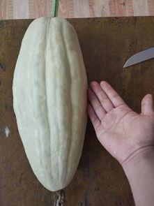 吃瓜网站有病毒吗,安全上网，警惕陷阱