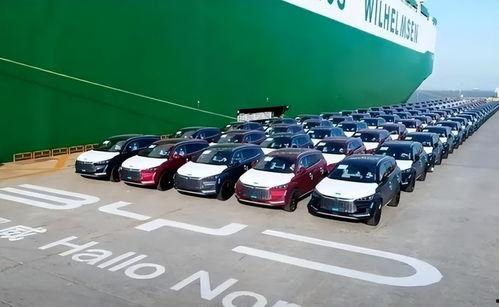 重庆比亚迪吃瓜大赛,一场全民参与的趣味盛宴