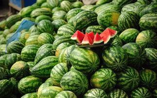 吃瓜变成卖瓜的,我的卖瓜逆袭之路