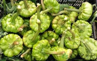 孕妇吃姜柄瓜,营养美味，助力母婴健康