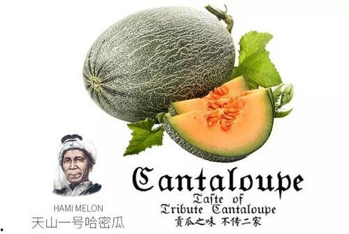 山东吃瓜号,揭秘山东美食背后的故事与传说