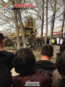 金乡吃瓜事件视频,一场引发热议的网络狂欢