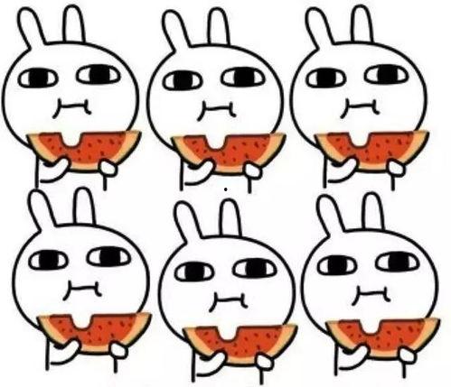 我吃瓜我也请你吃瓜拼音,一场别开生面的瓜界盛宴