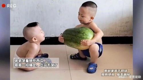 和哥哥们吃瓜,揭秘娱乐圈那些不为人知的秘密