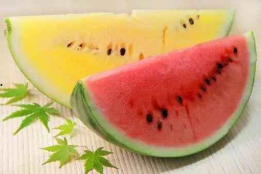 红瓜可以吃嘛,美味与健康的双重享受