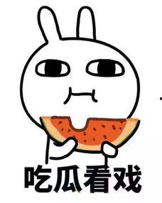 吃瓜小贱,揭秘娱乐圈那些不为人知的幕后故事