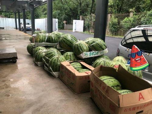 伦敦吃瓜上海,东西方文化交融的美食之旅