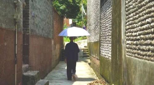 榆中吃瓜群众事迹,见证社区和谐与民间智慧