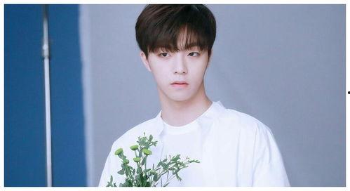 陈立农 吃瓜,揭秘娱乐圈背后的真相与争议