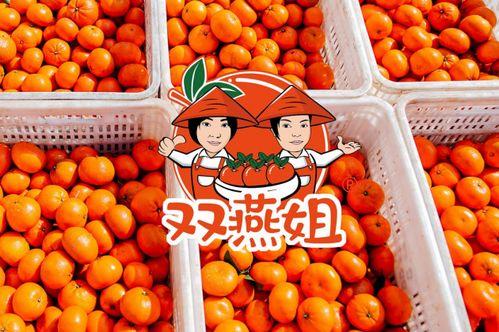 陌默吃瓜,揭秘娱乐圈背后的那些事儿