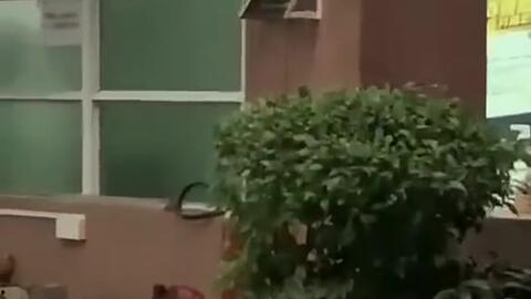 辽宁最新吃瓜新闻事件,揭秘某神秘事件背后真相