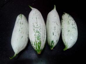 苏州疫情吃瓜消息,揭秘病毒传播链与防控措施背后的故事