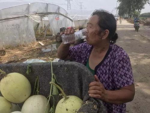 纪台吃瓜,揭秘娱乐圈背后的那些事儿