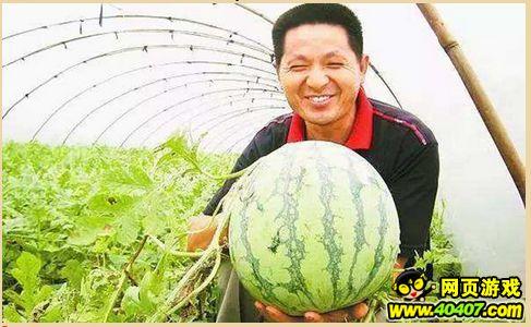 单县吃瓜墙,揭秘当地独特民俗风情
