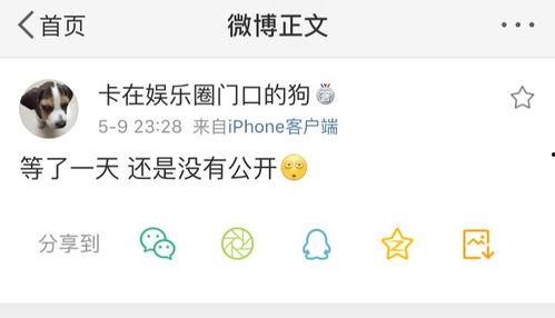 吃瓜爆料号有哪些,揭秘热门爆料号背后的故事