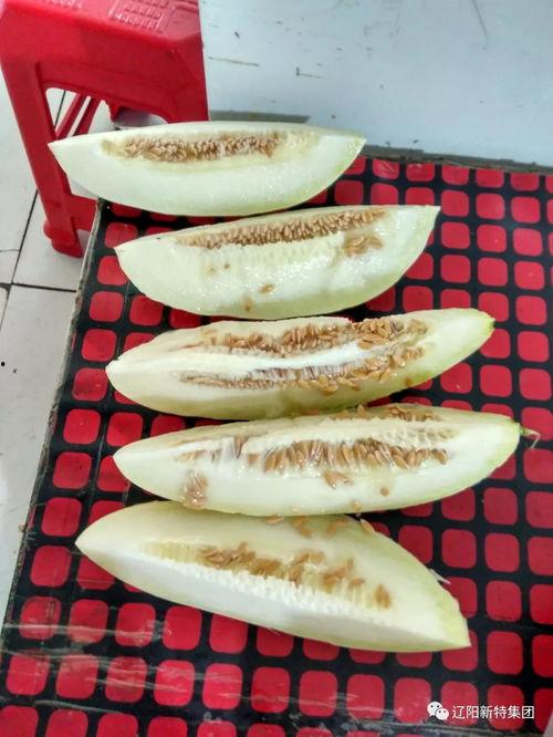 带你喝带你吃瓜,尽享味蕾盛宴