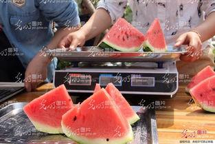 聊城近期热点吃瓜事件,揭秘近期“瓜王”事件背后的真相