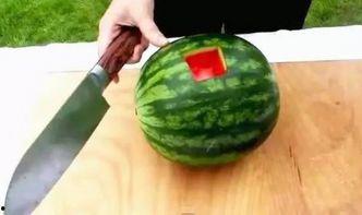 吃西瓜切瓜神器,轻松解锁夏日美味新姿势