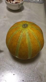 瓜怀孕可以吃吗,瓜类食物的食用安全与营养益处