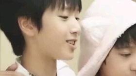 小马吃瓜视频,揭秘瓜农与马儿间的趣味互动