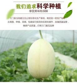 台州吃瓜视频,揭秘当地美食文化盛宴