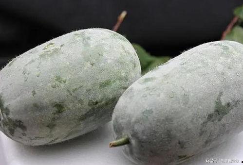 吃瓜第一线吃瓜,揭秘娱乐圈幕后风云