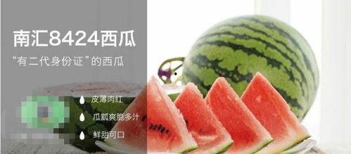 台湾评价吃瓜群众