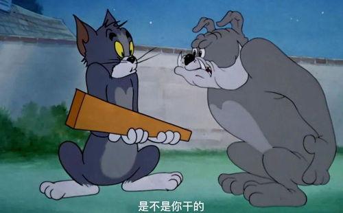 杰瑞吃瓜图片,夏日欢乐无限