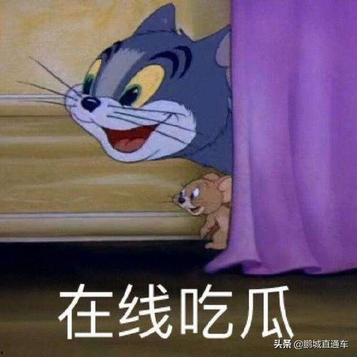 吃瓜惊讶卡通表情