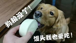 狗头视频吃瓜群