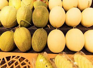 吃货吃哈密瓜和西瓜,吃货的甜蜜盛宴