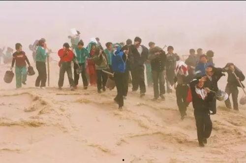 吃瓜沙漠,神秘绿洲的瓜果传奇