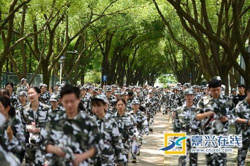 军训吃瓜后续,揭秘军营里的欢乐时光