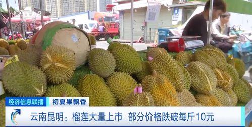 南京吃瓜榴莲事件,一场味蕾与争议的碰撞