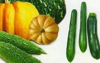 吃瓜连线