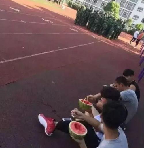 他们军训我吃瓜