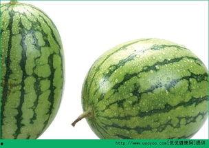 吃瓜娄子过敏